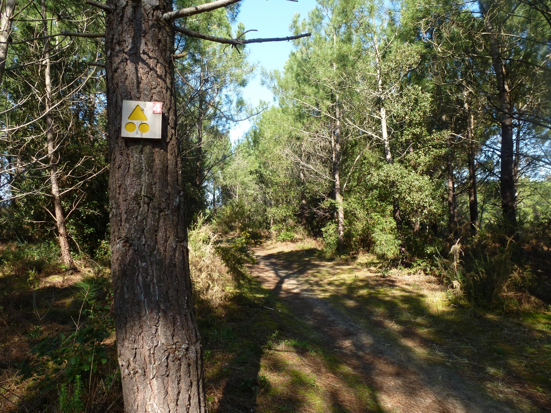 Piste vtt / Côte Sauvage